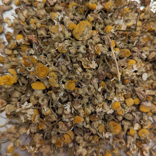 Bulk Flowers