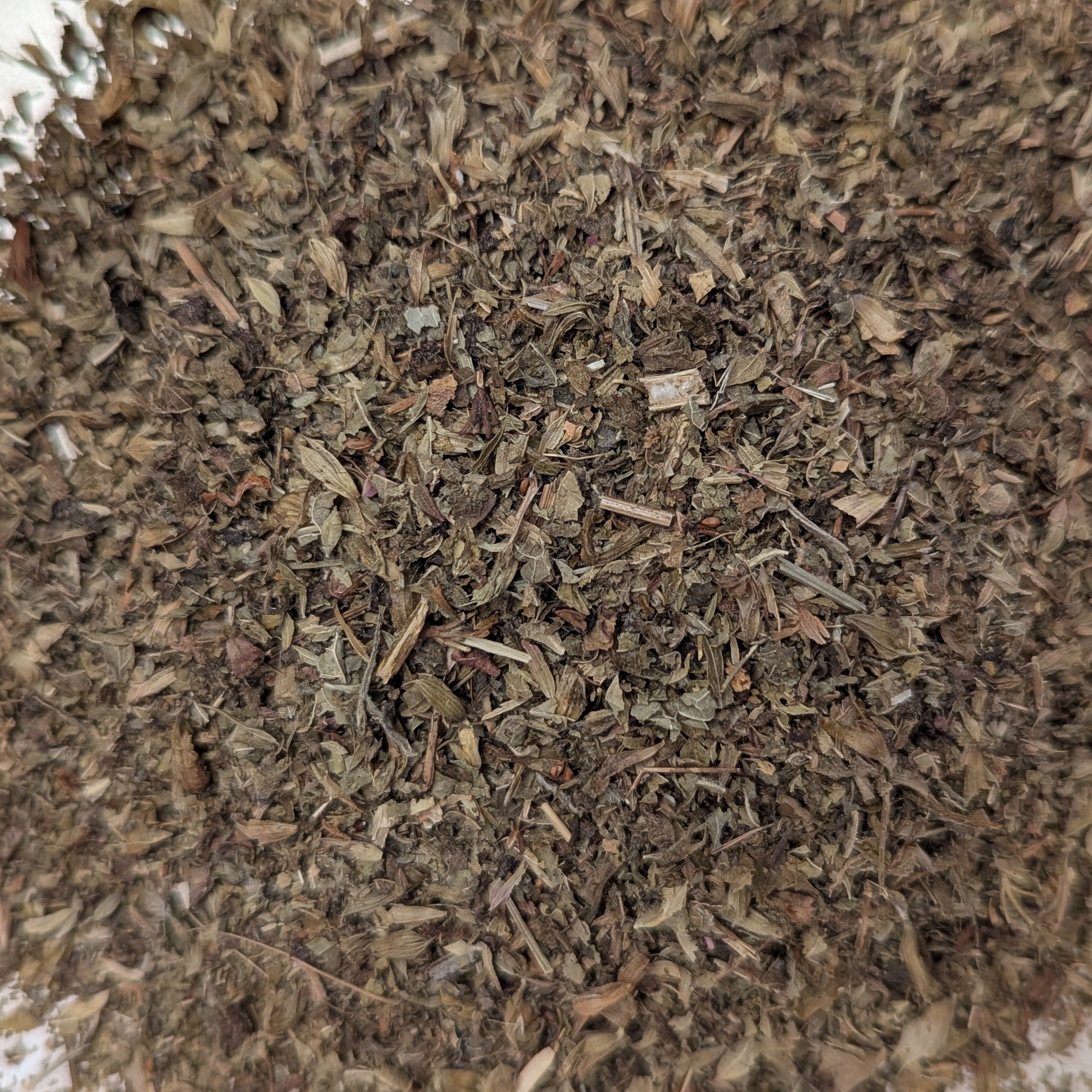Lemon Balm