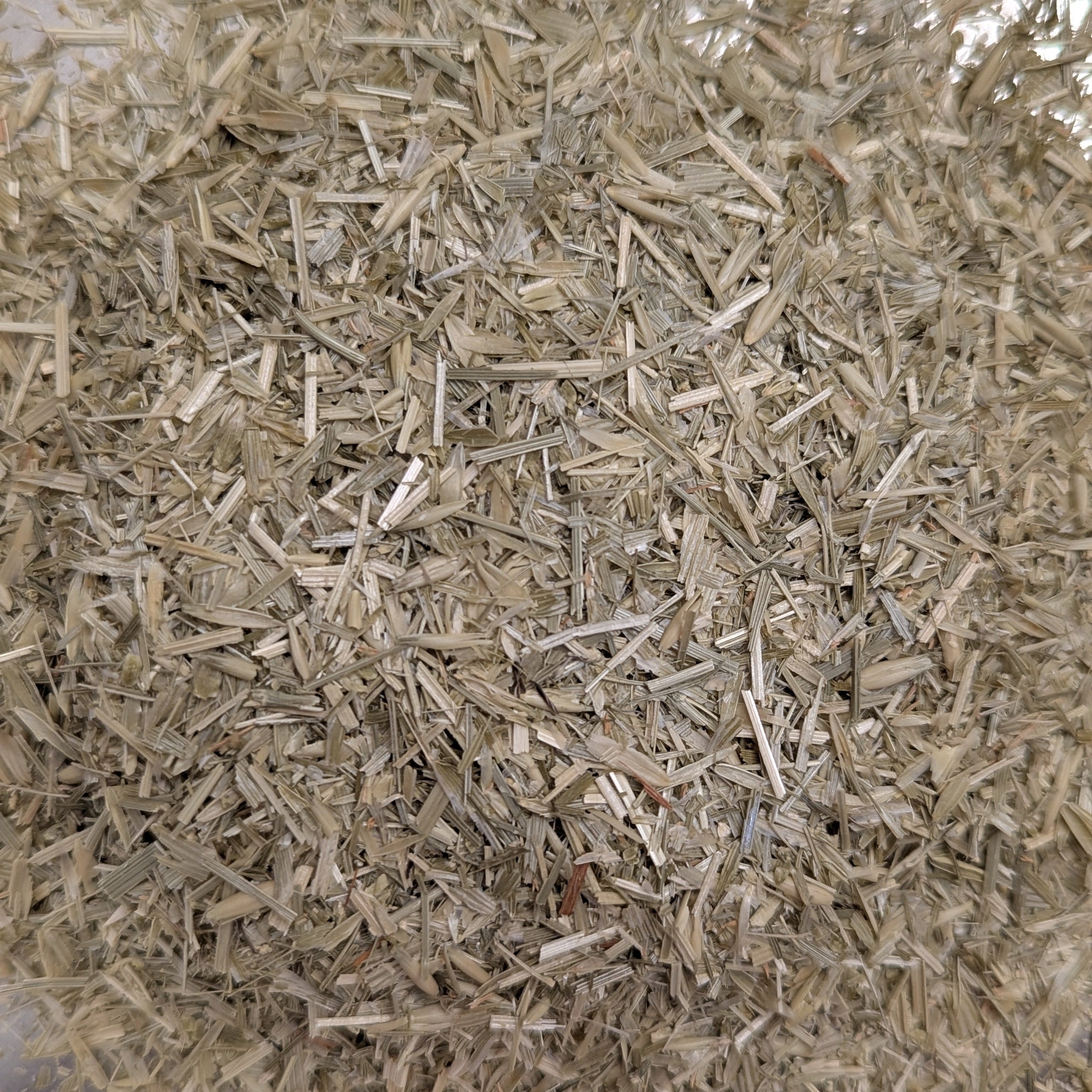 Oat straw/flowering tops