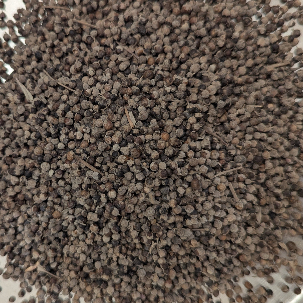 Vitex (Chaste Berry)