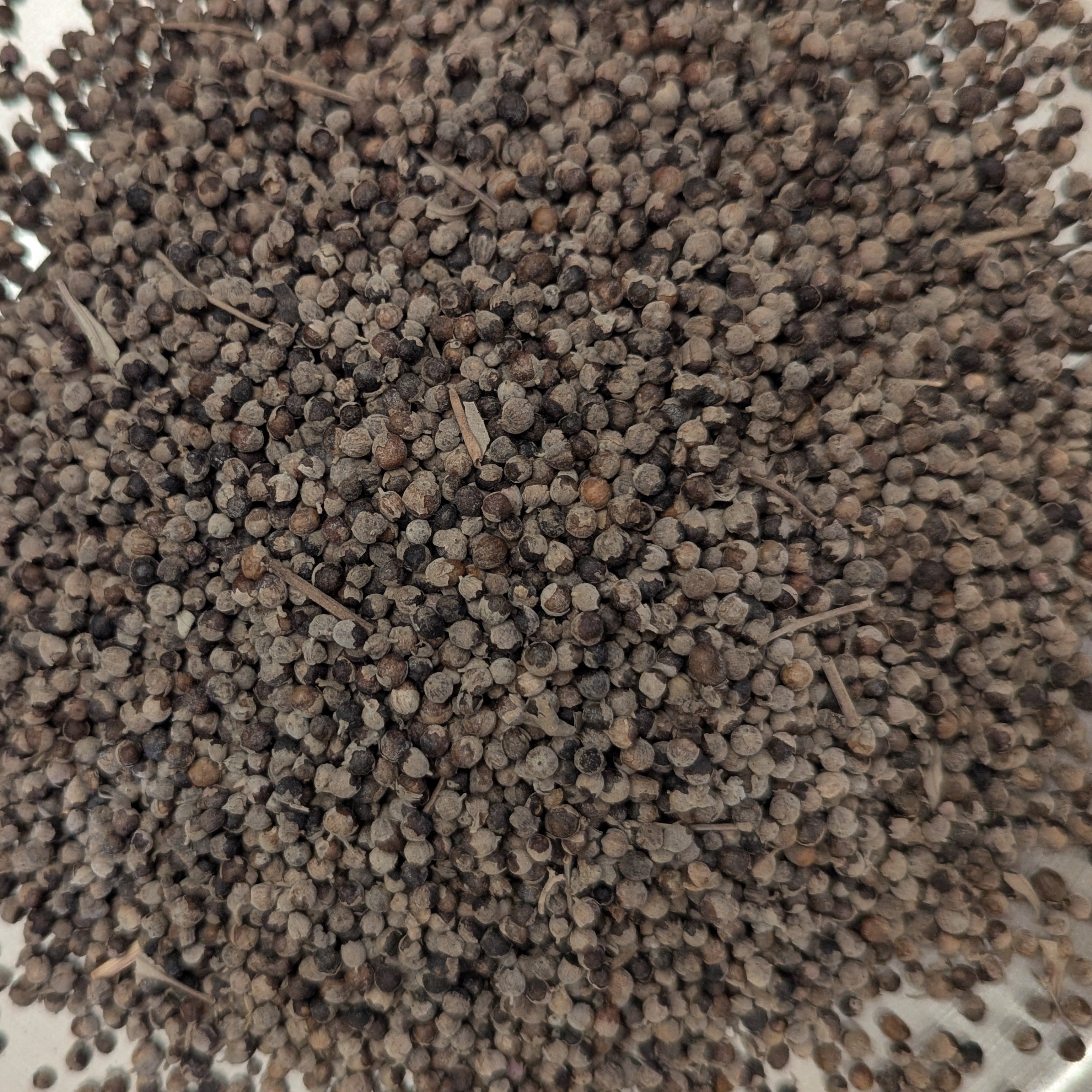 Vitex (Chaste Berry)