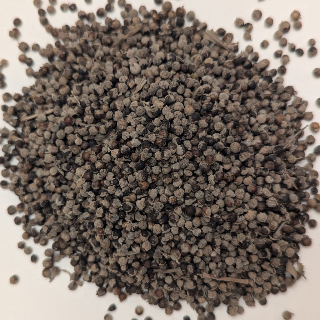 Vitex (Chaste Berry)