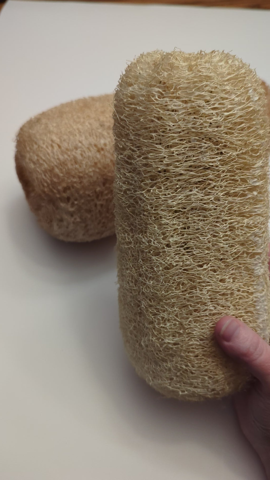 Loofah