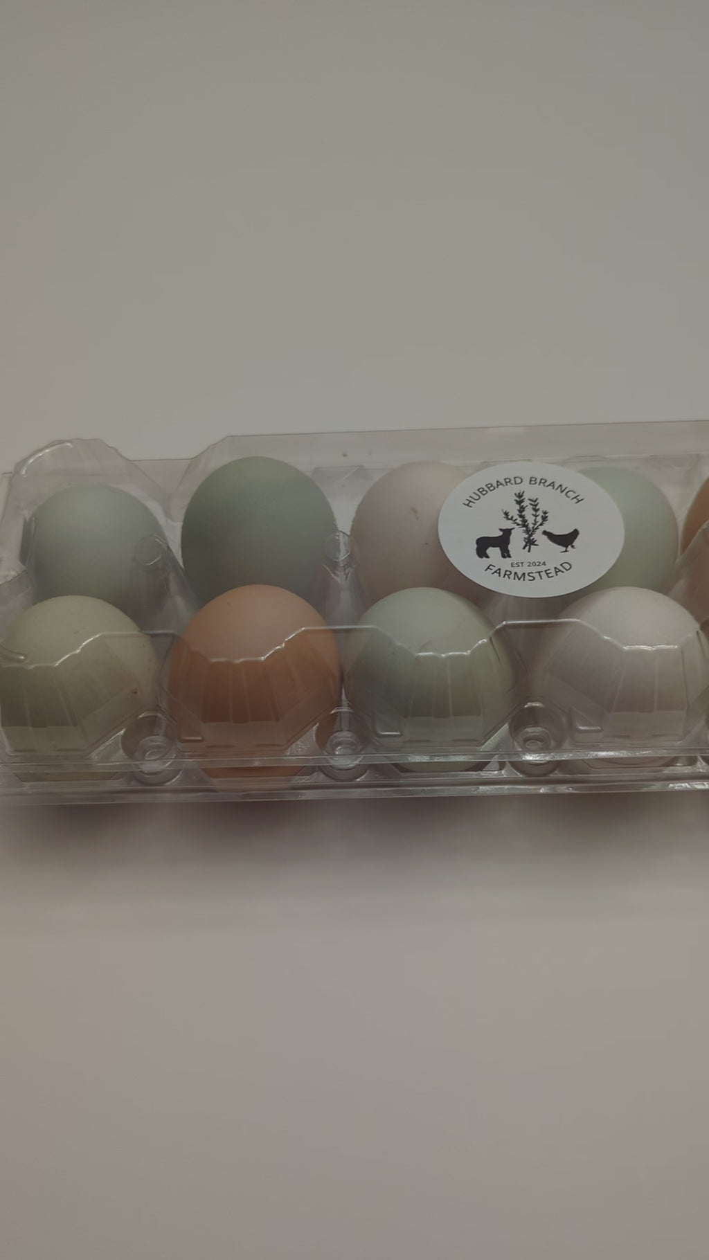 Egg Dozens