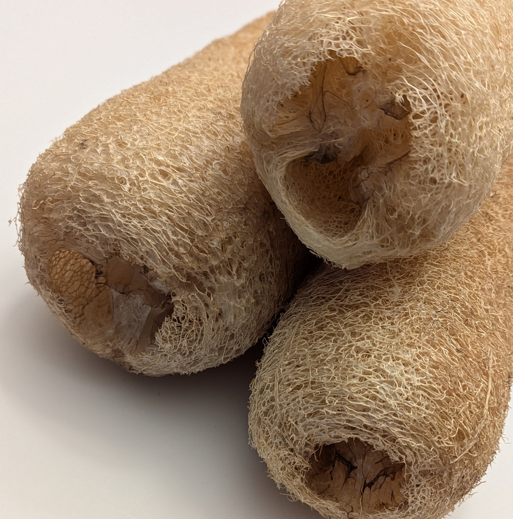 Loofah