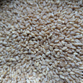 Wheat Berries, organic