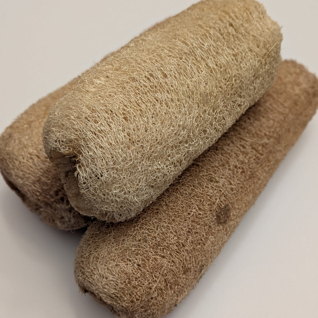 Loofah