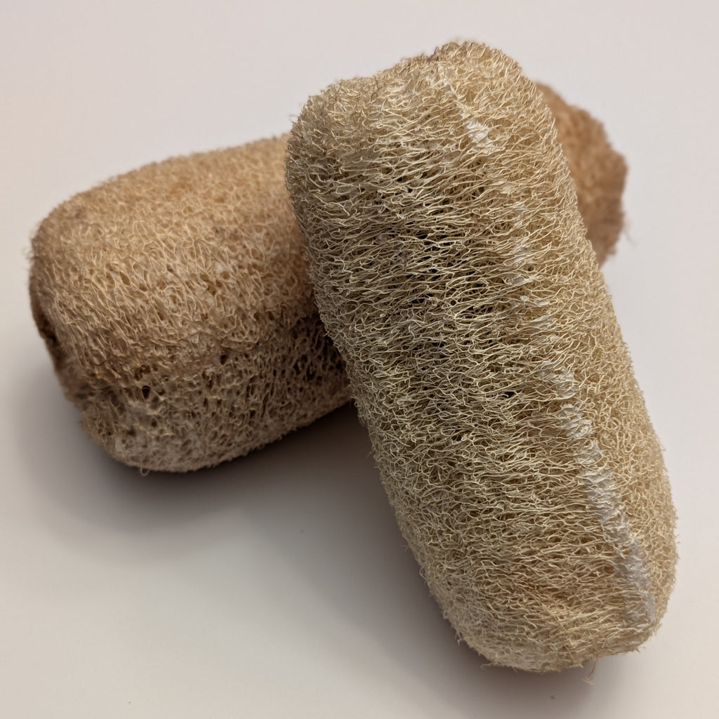 Loofah