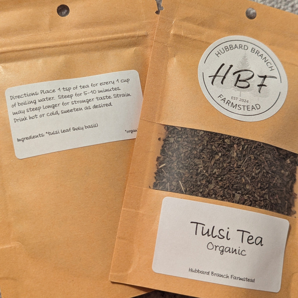 Tulsi (Holy Basil)